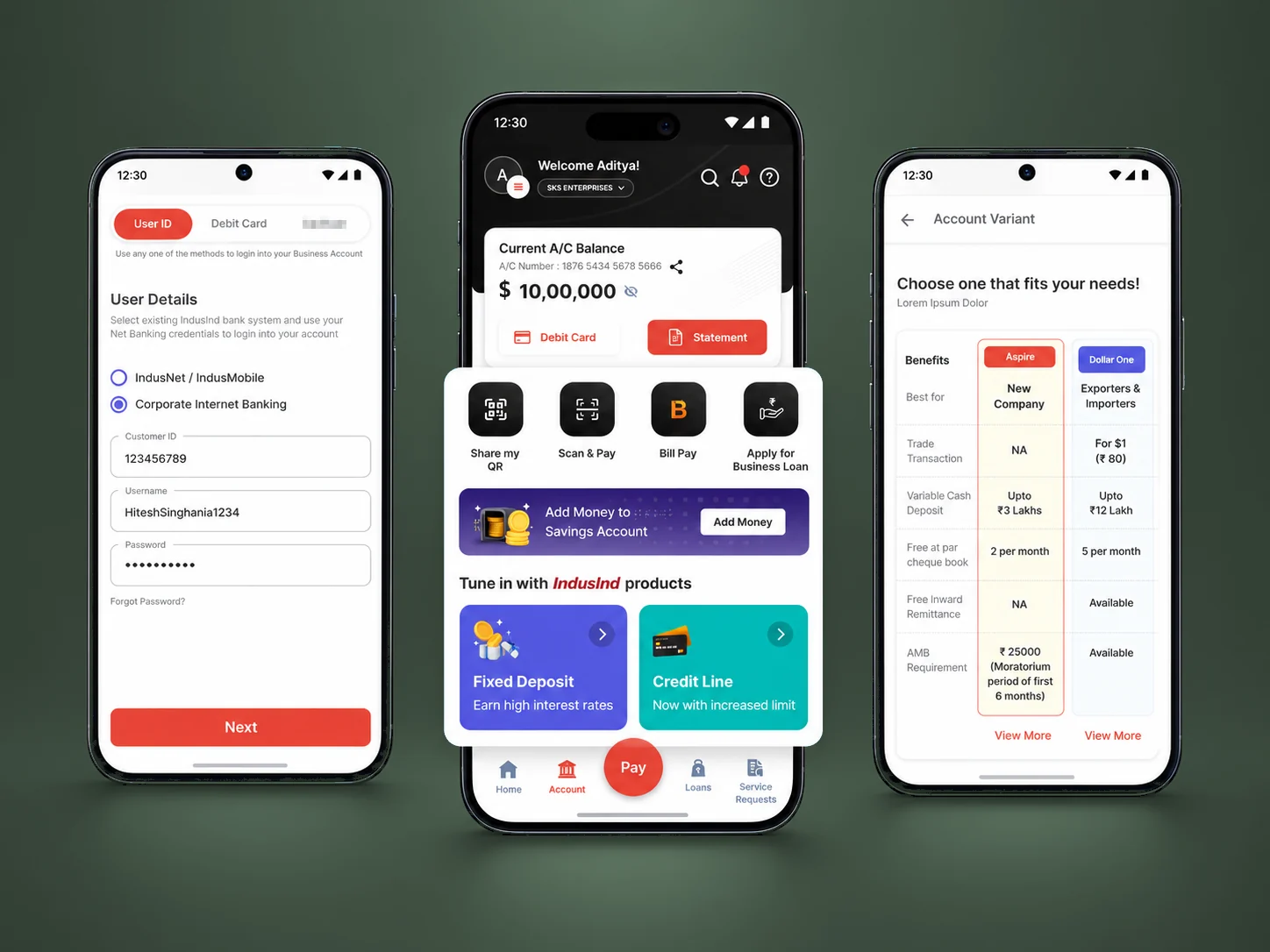MSME banking platform overview